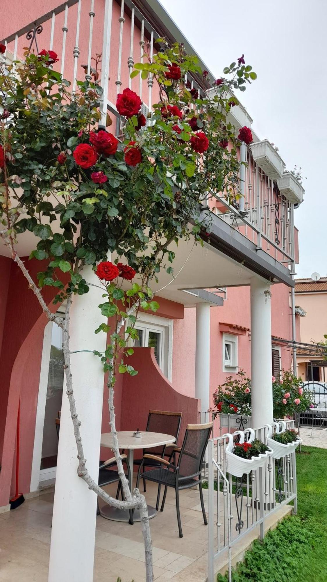 Apartments Dragica Poreč Exterior foto